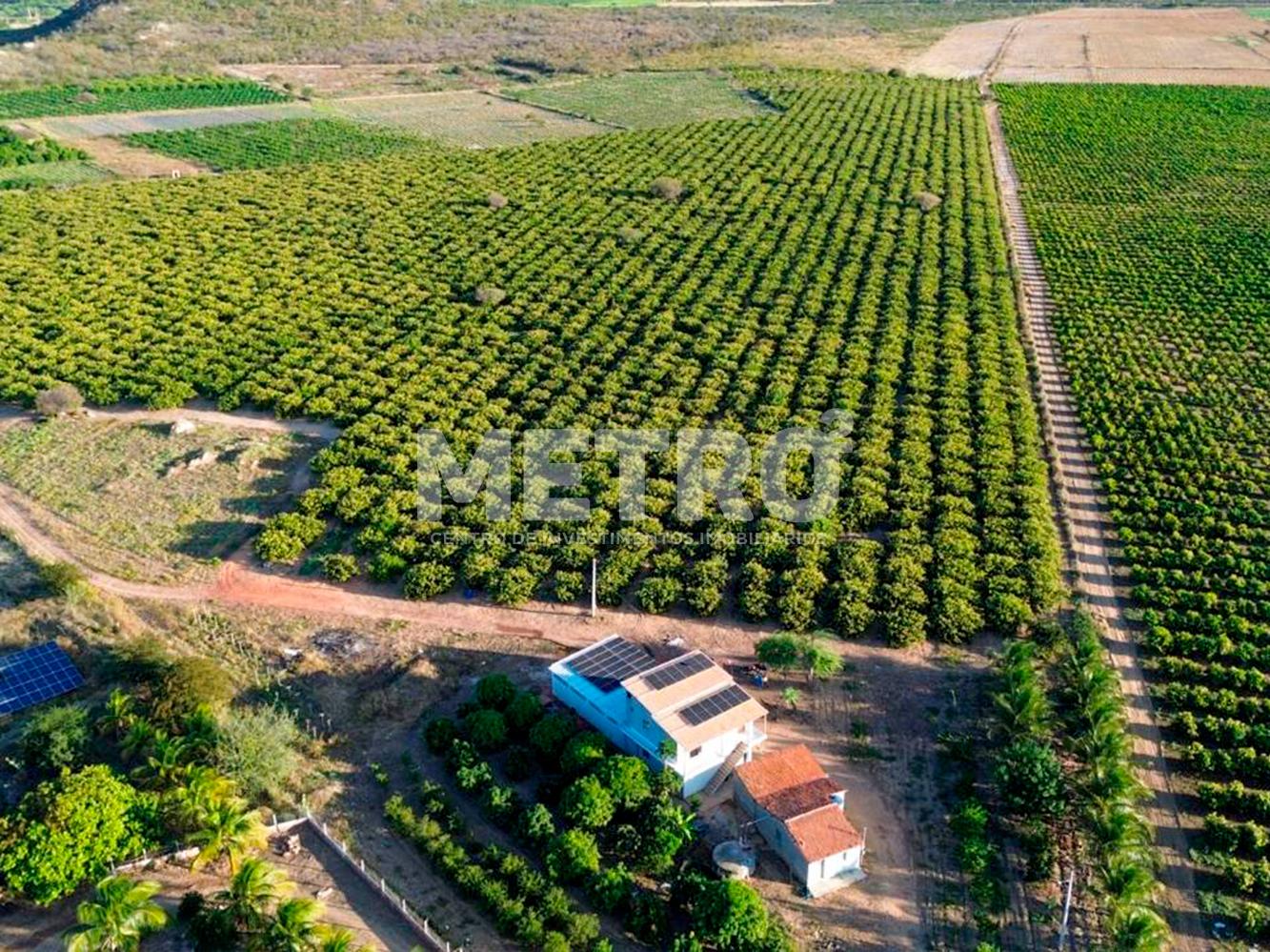 Fazenda à venda, 145000m² - Foto 1