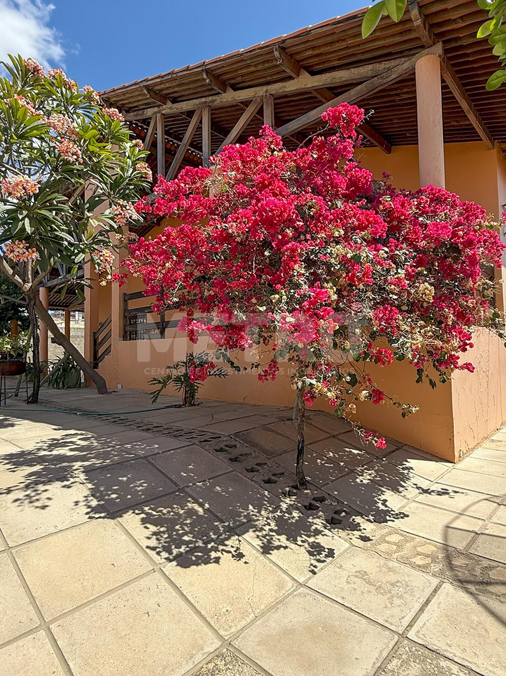 Loja-Salão - Foto 13