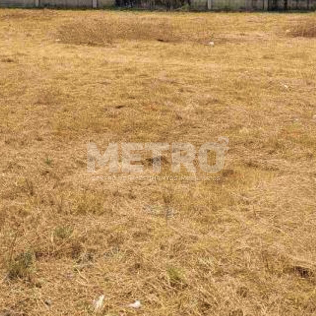 Dois terrenos, lotes, 480m à venda no centro de Petrolina