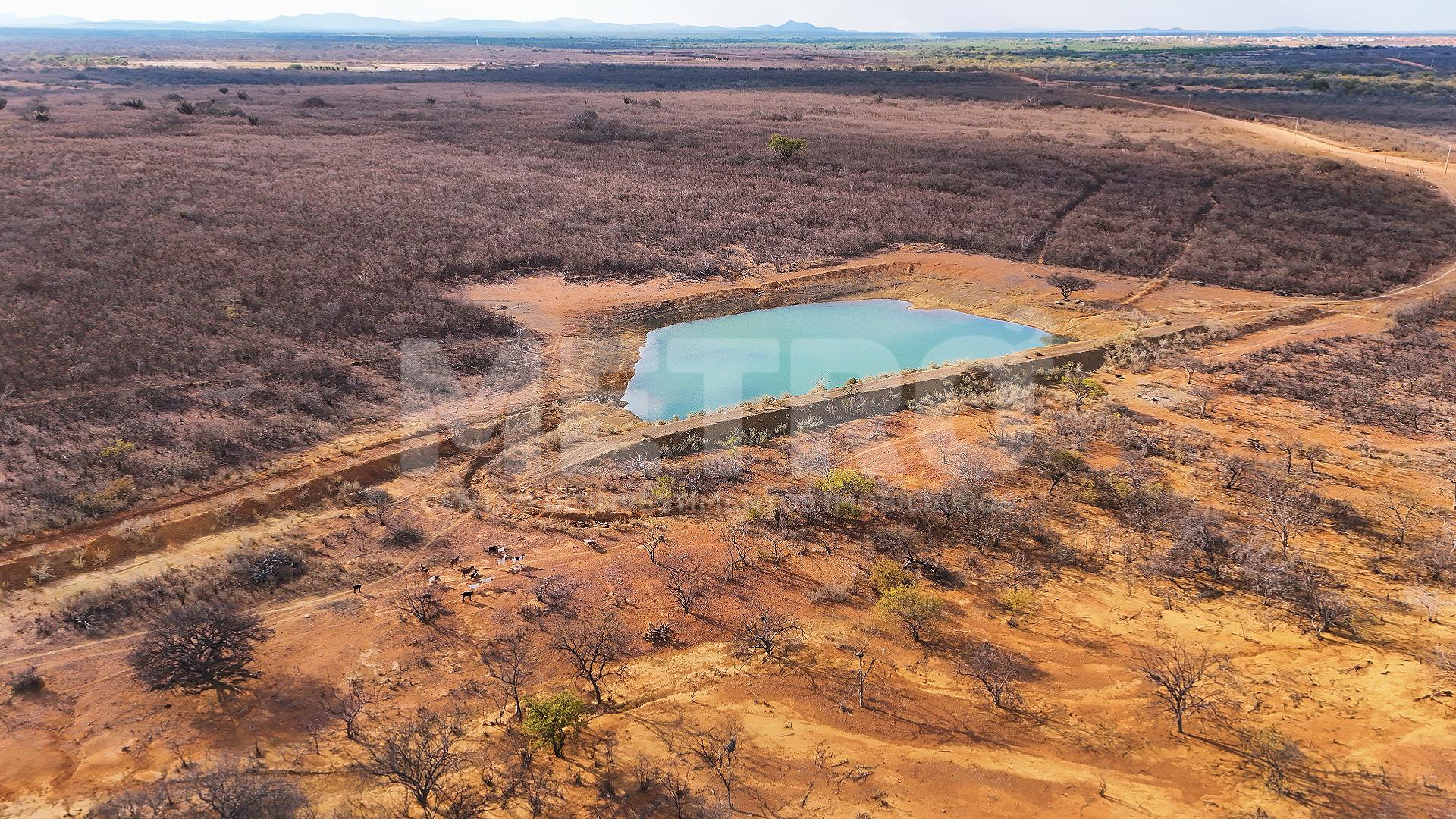 Área Rural à venda com 600ha em Curaçá-BA