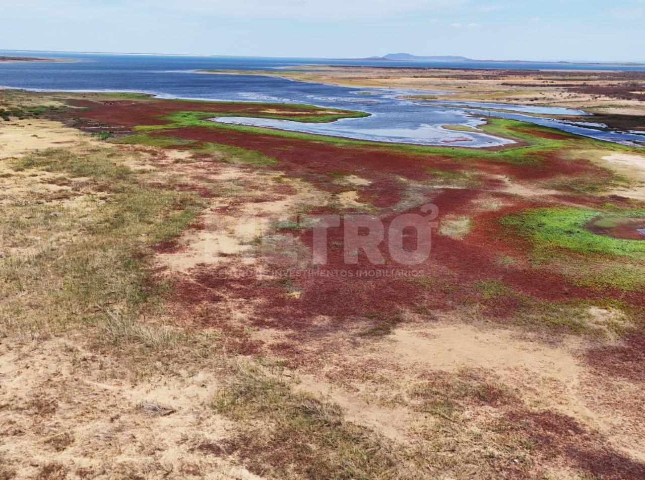 Área Rural Beira Rio, 50ha á venda com grande potencial