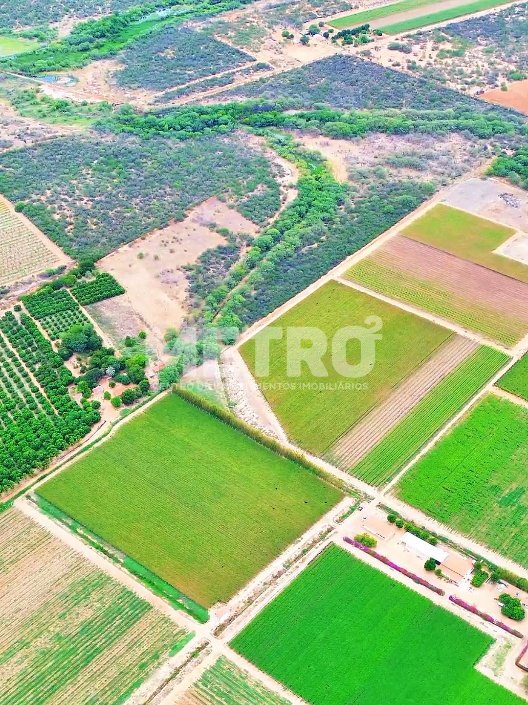 Fazenda à venda de uvas finas, 37h, produzindo, infraestrutura...
