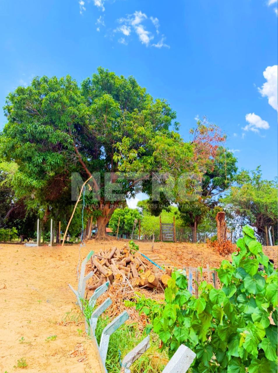 Casa, 2 quartos, 2160 m² - Foto 3