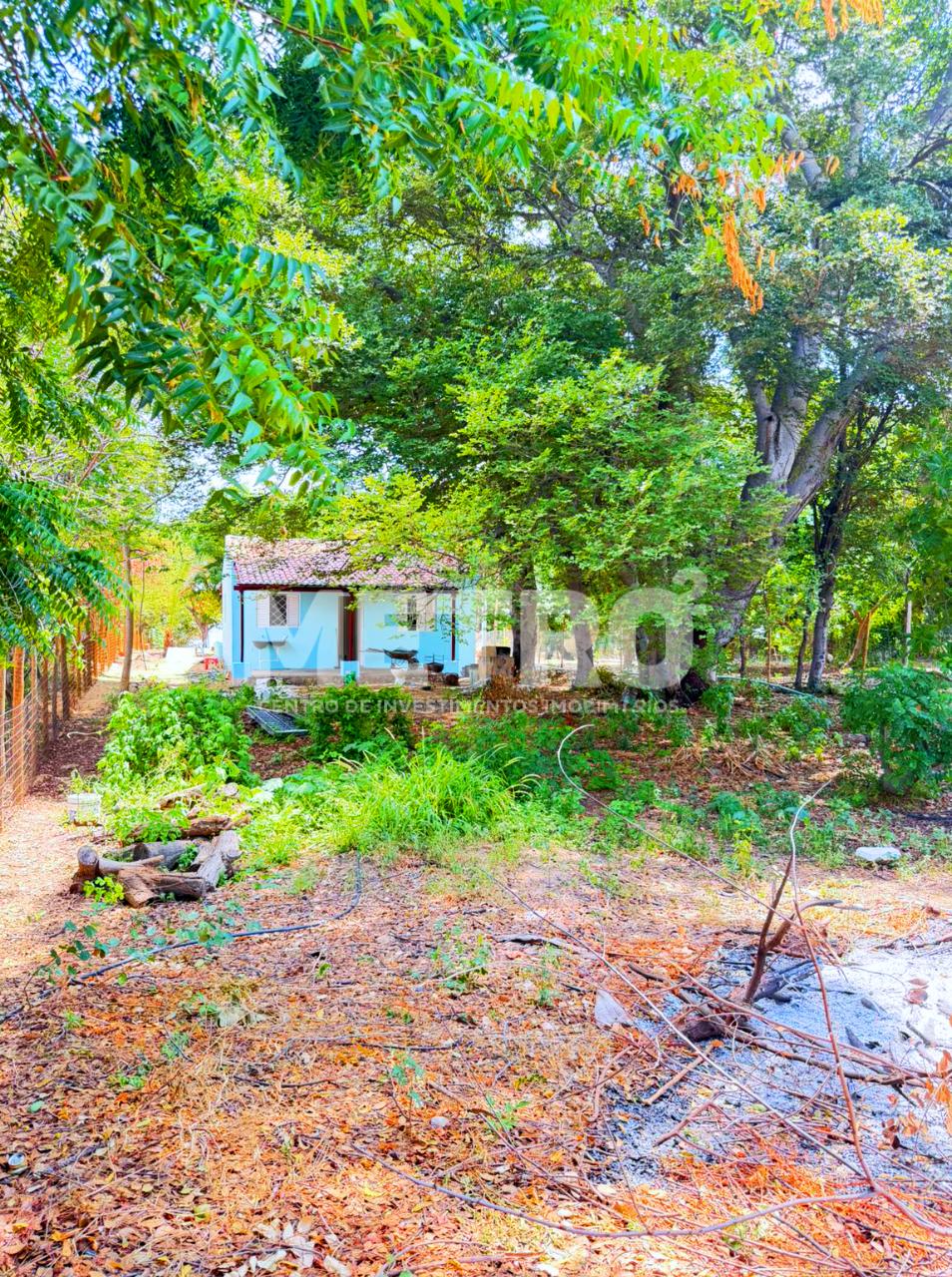 Casa, 2 quartos, 2160 m² - Foto 5