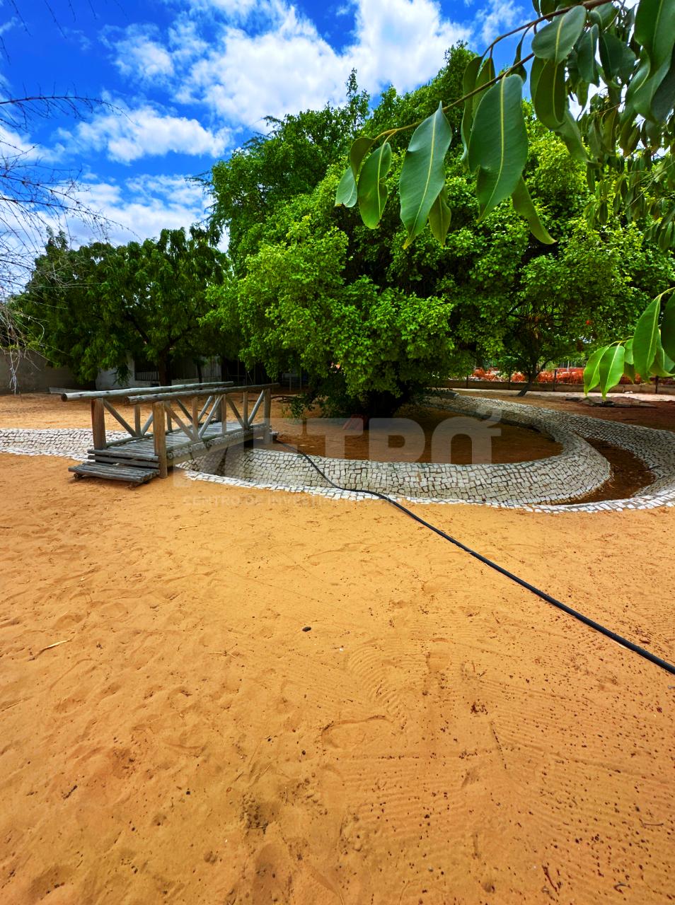 Chácara, 2 quartos - Foto 4