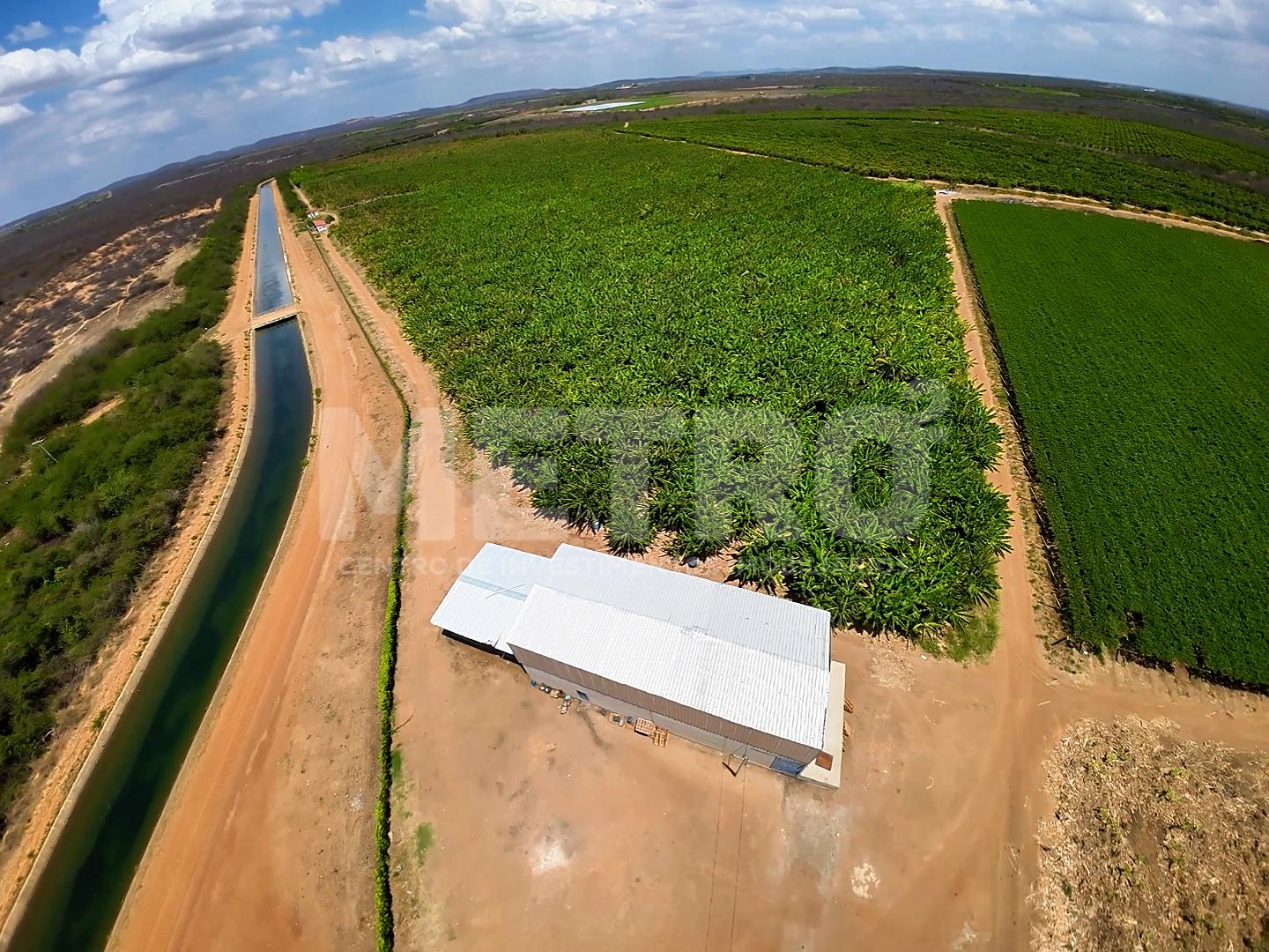 Fazenda produtiva com Infraestrutura, Manga, Uva, Banana, 269h...