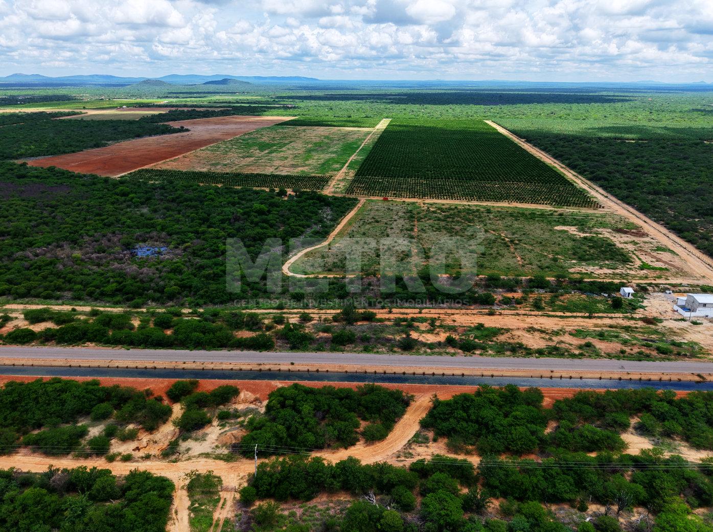 Fazenda frutífera à venda com área total de 80 Hectares, Petro...