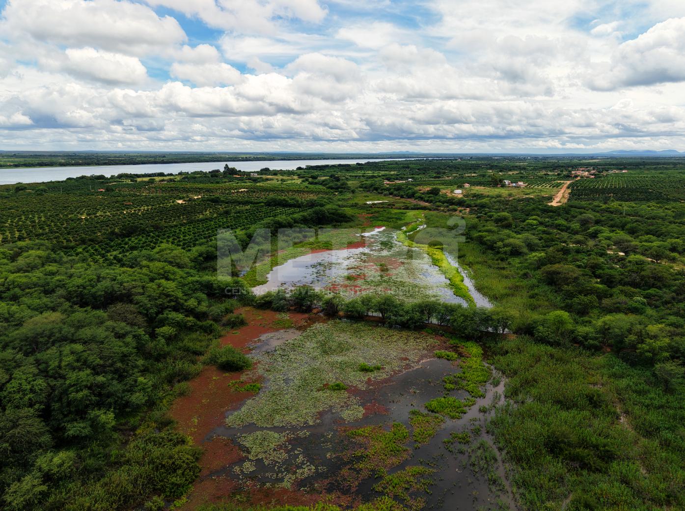 Área Rural à venda com 265ha, beira rio, adutora, Juazeiro-BA