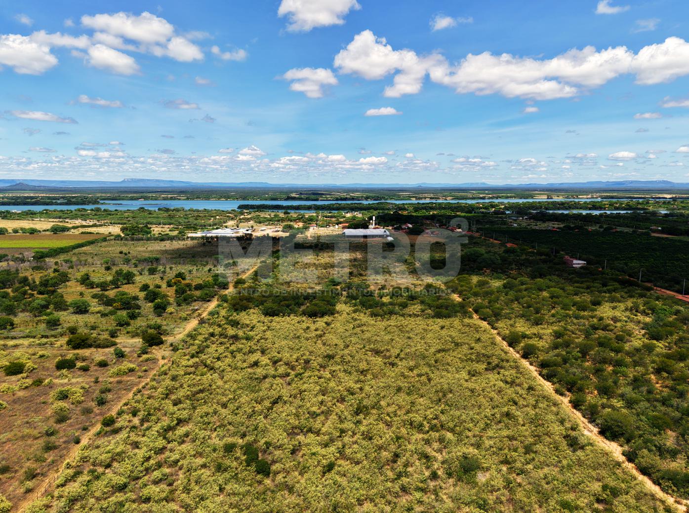 Fazenda - Foto 10