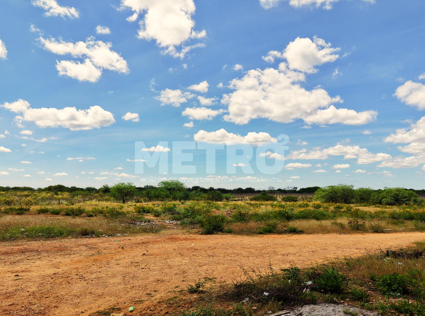 Fazenda - Foto 11