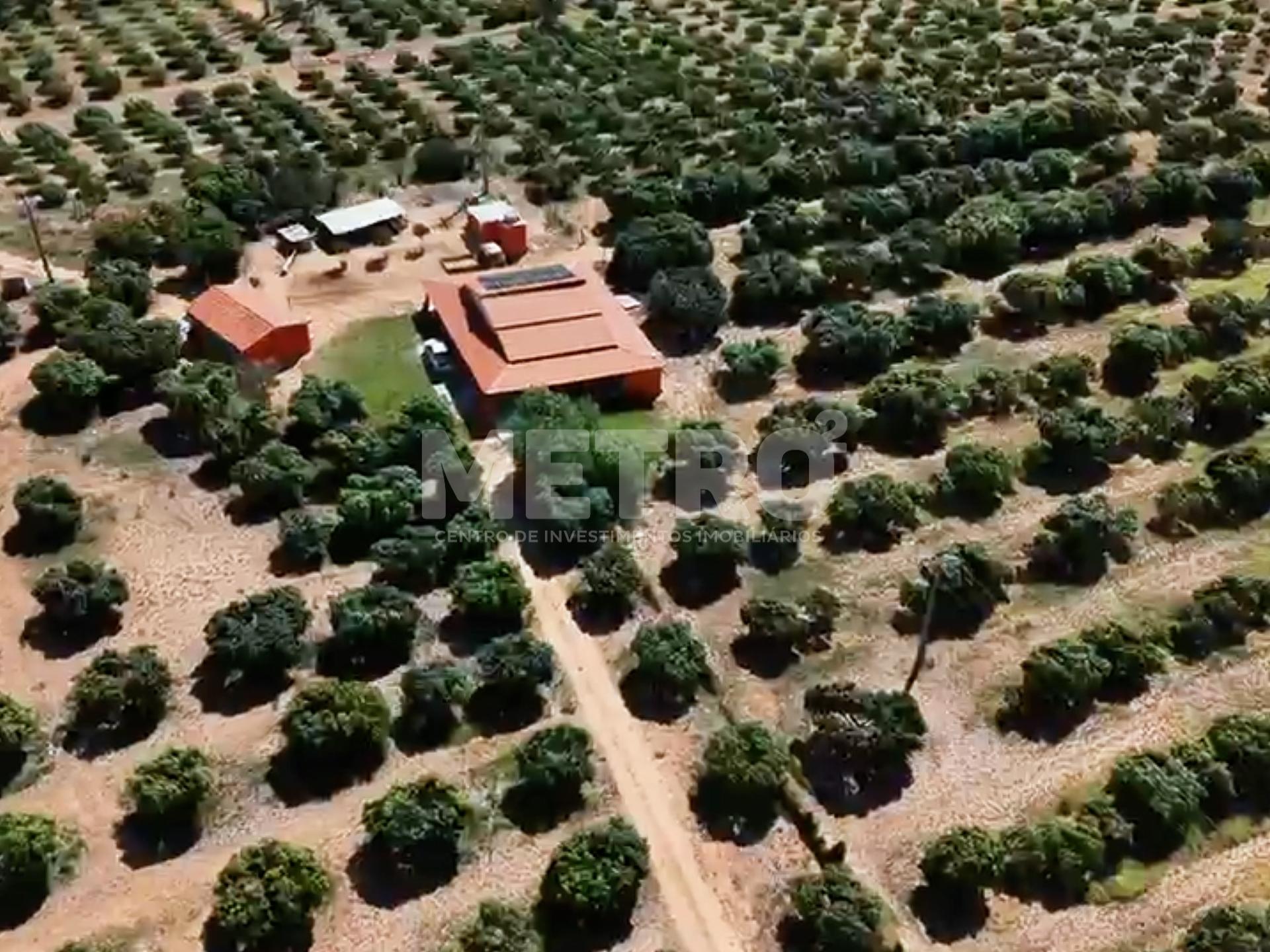 Fazenda à venda de 14 Hectares, beira rio, Santana do Sobrado-BA