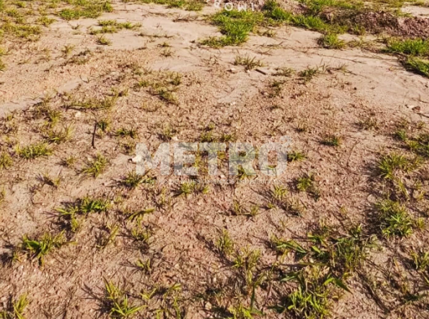 Terreno à venda no Bairro José e Maria, 15x50, 750m, Petrolina-PE