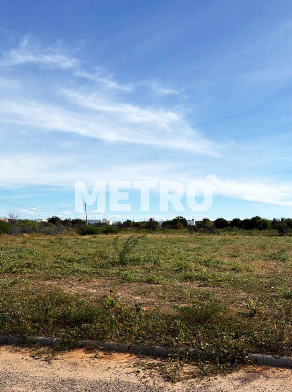 Sítio, 3 quartos, 4000 m² - Foto 6