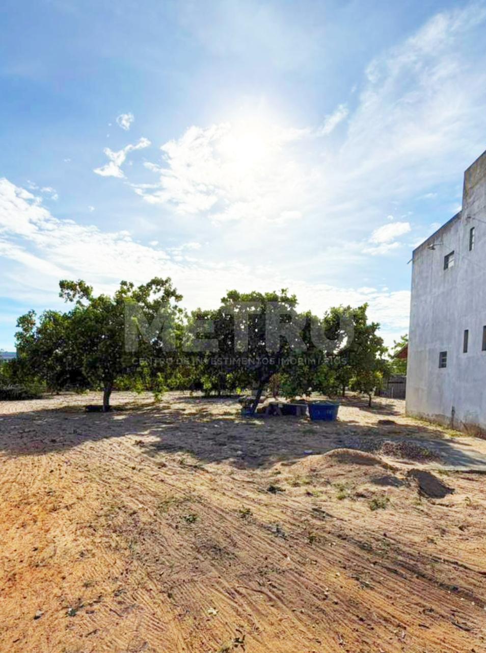 Sítio, 3 quartos, 4000 m² - Foto 3