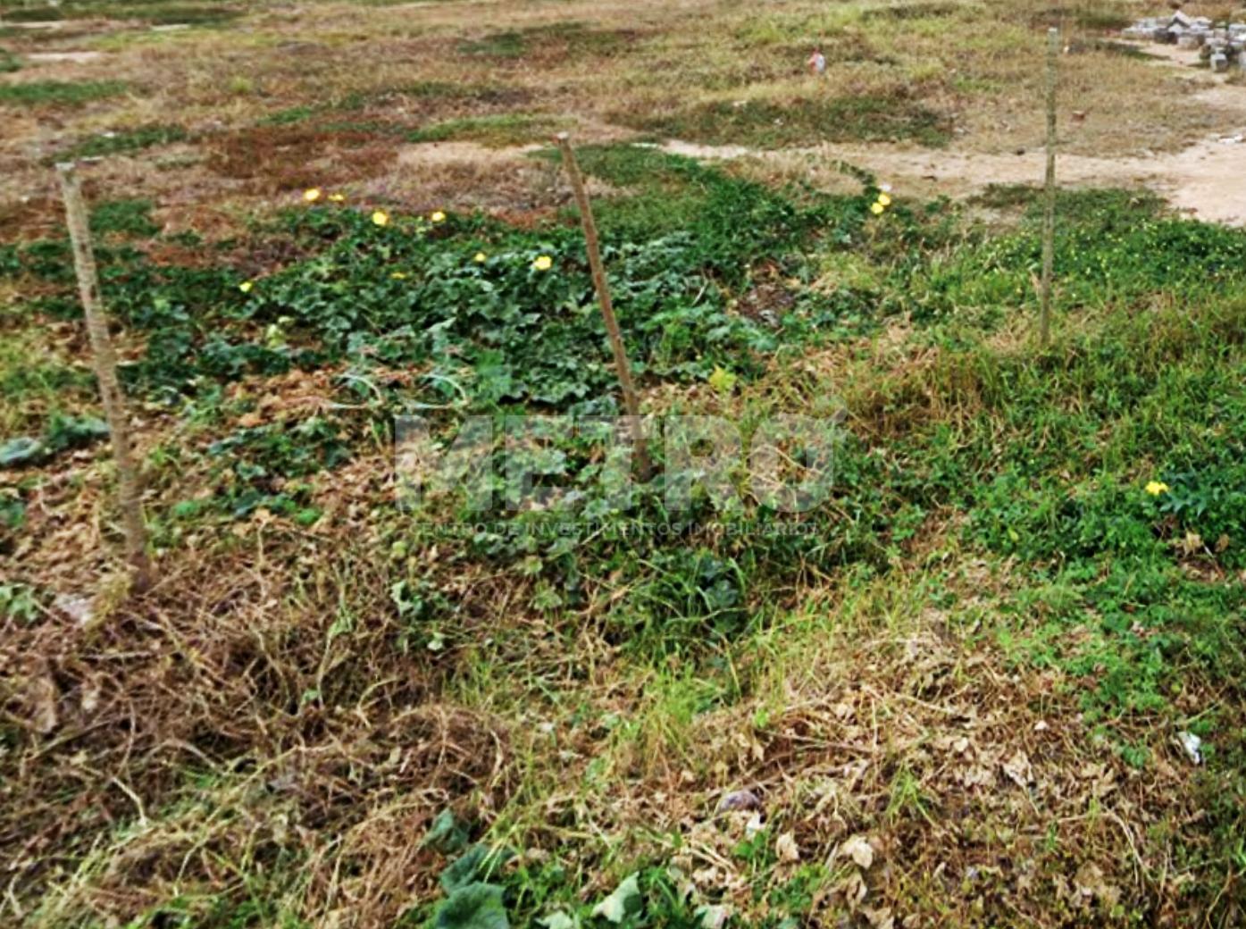 Terreno à venda no bairro Vila das Imbiras 298m, PETROLINA - PE