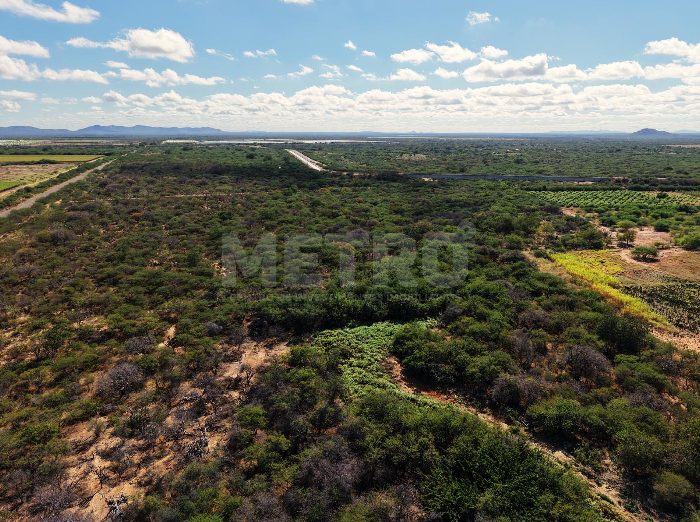 Fazenda - Foto 1