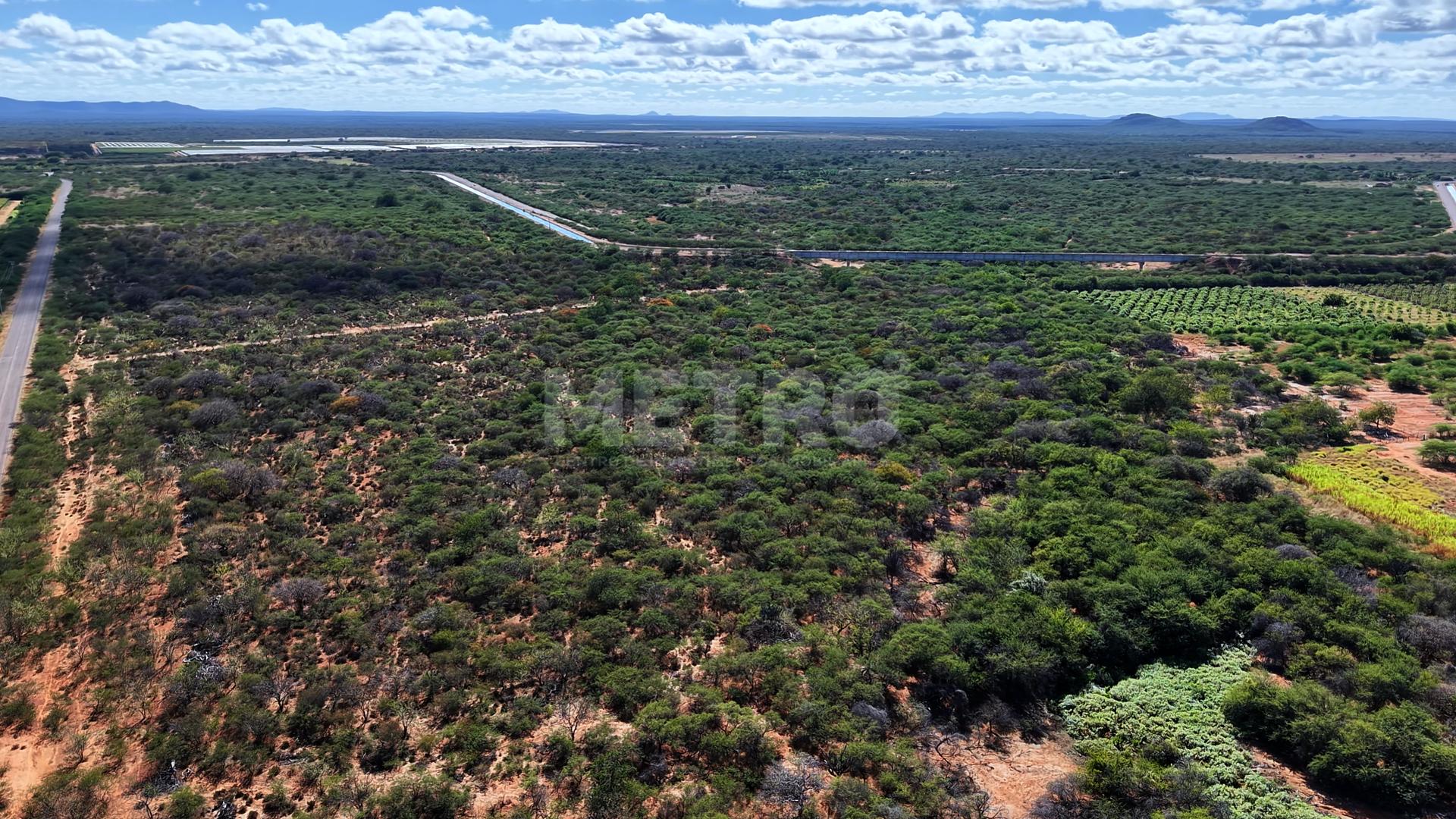 Fazenda - Foto 3