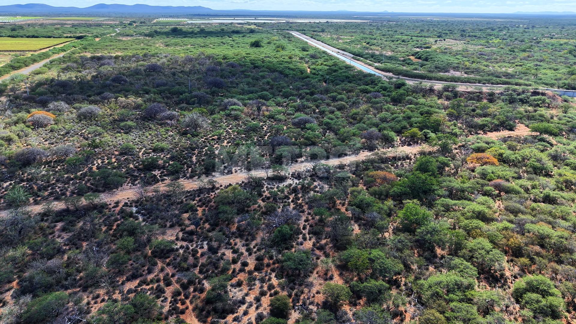 Fazenda - Foto 4