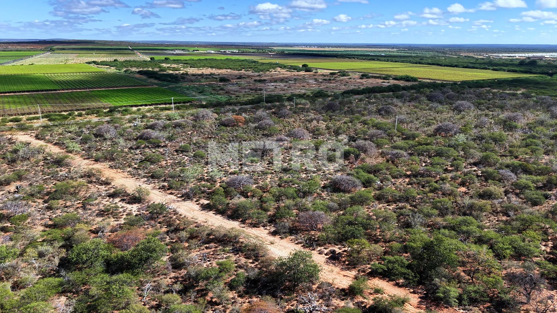 Fazenda - Foto 5