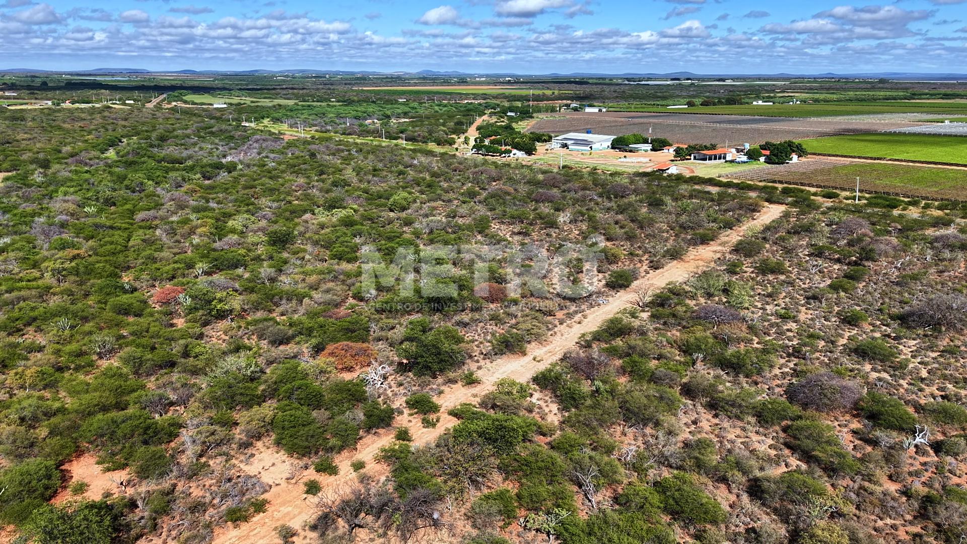 Fazenda - Foto 6
