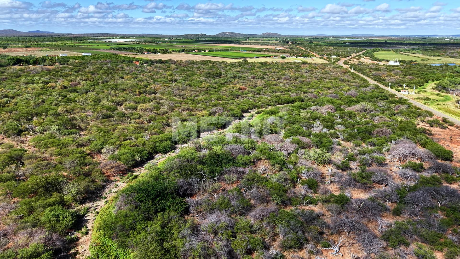 Fazenda - Foto 7