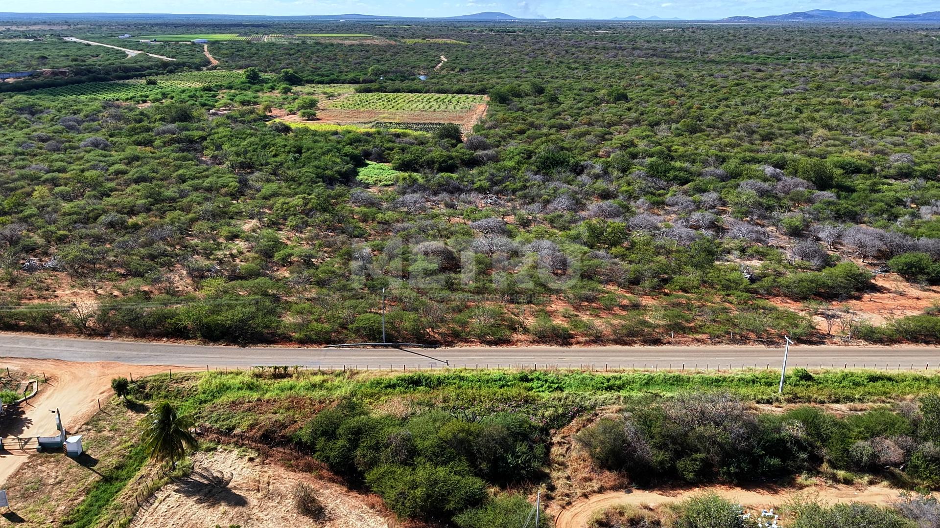 Fazenda - Foto 8