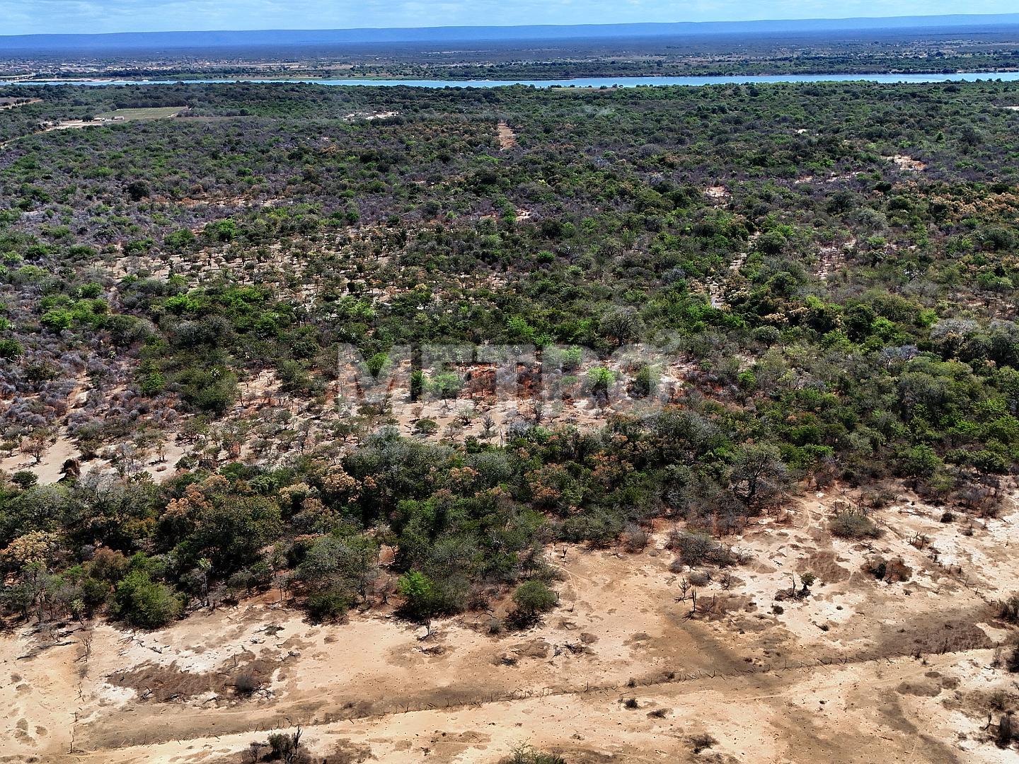 Fazenda - Foto 4
