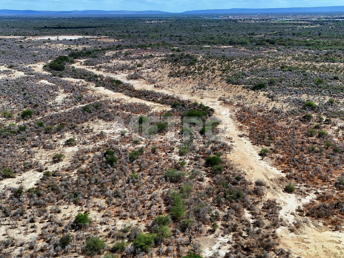 Fazenda - Foto 5