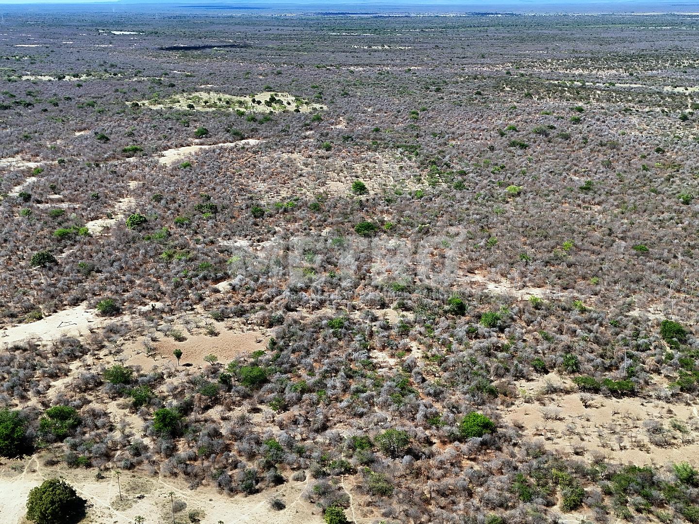 Fazenda - Foto 11