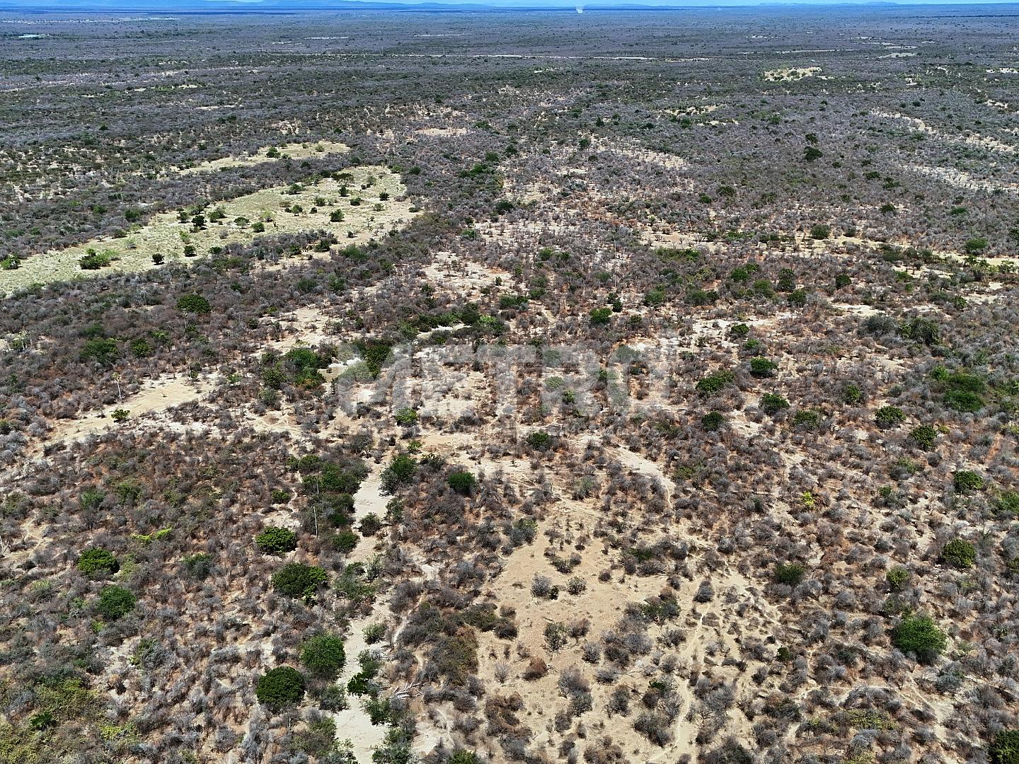 Fazenda - Foto 12