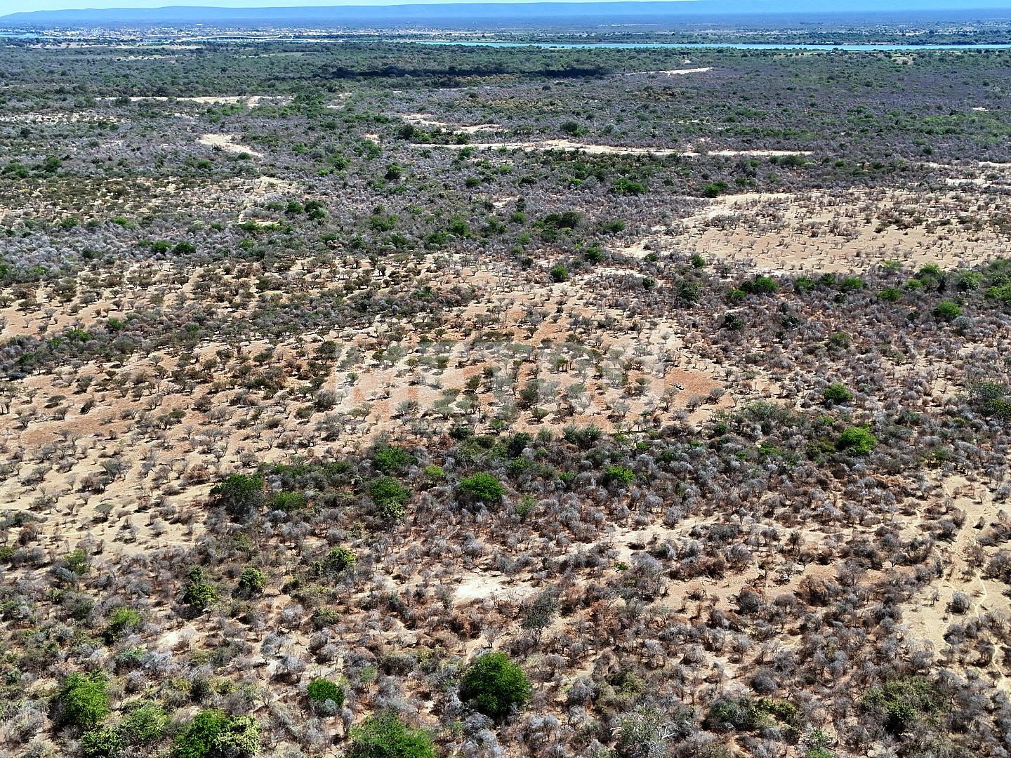 Fazenda - Foto 14