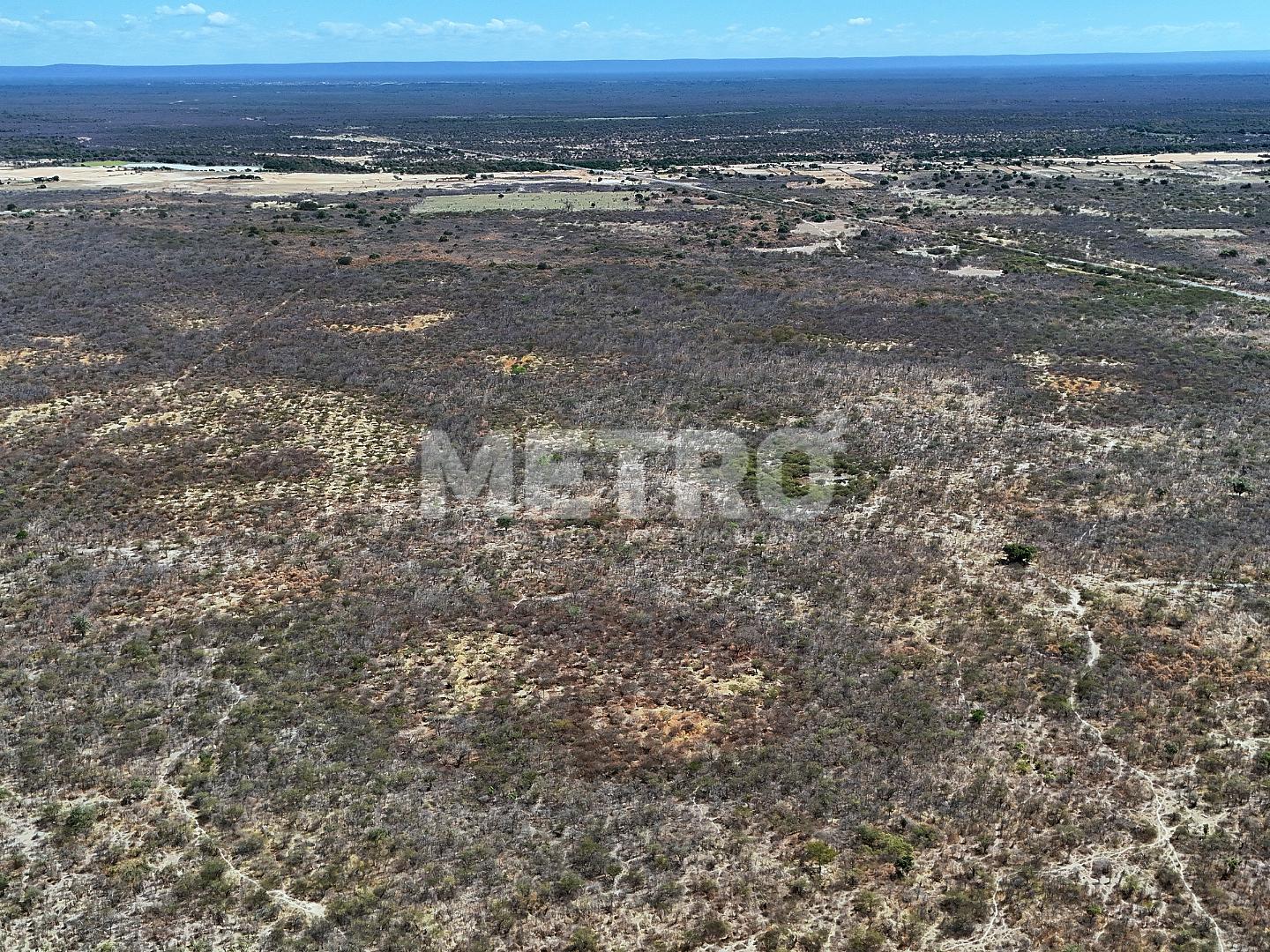 Fazenda - Foto 15