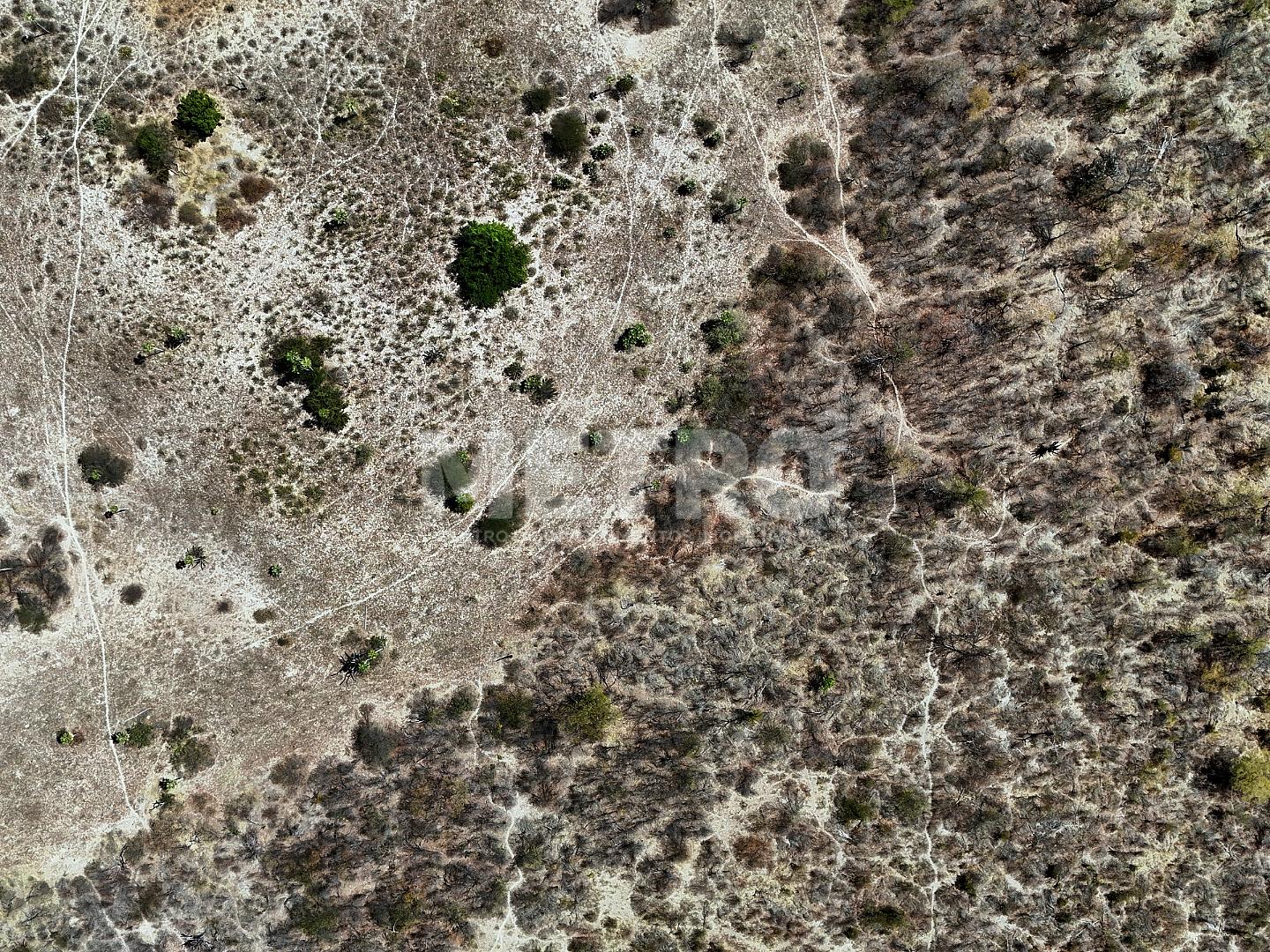 Fazenda - Foto 16