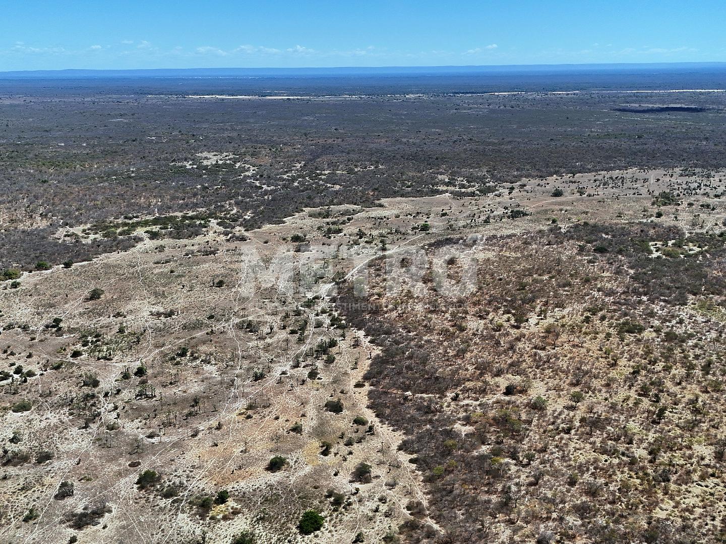 Fazenda - Foto 18
