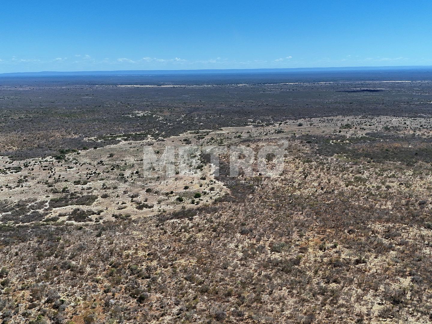 Fazenda - Foto 19