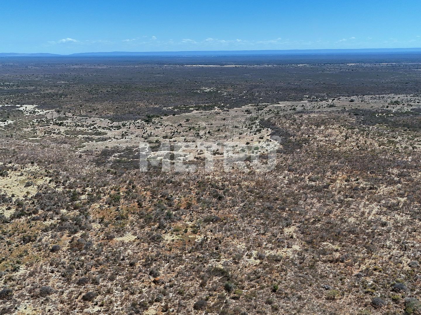 Fazenda - Foto 22