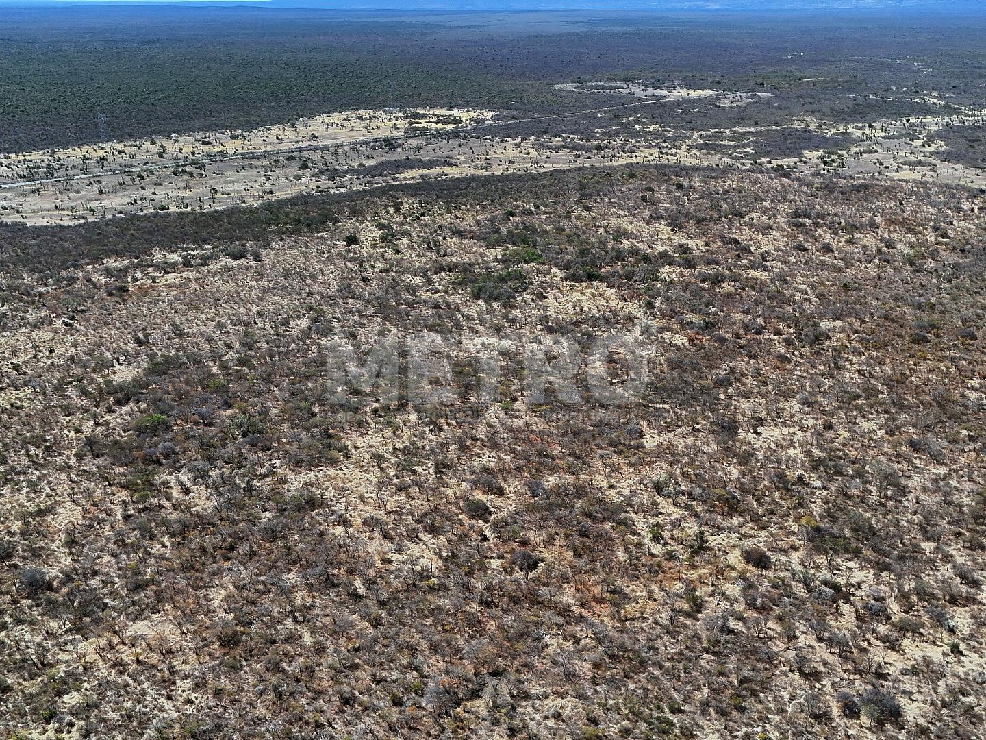 Fazenda - Foto 25