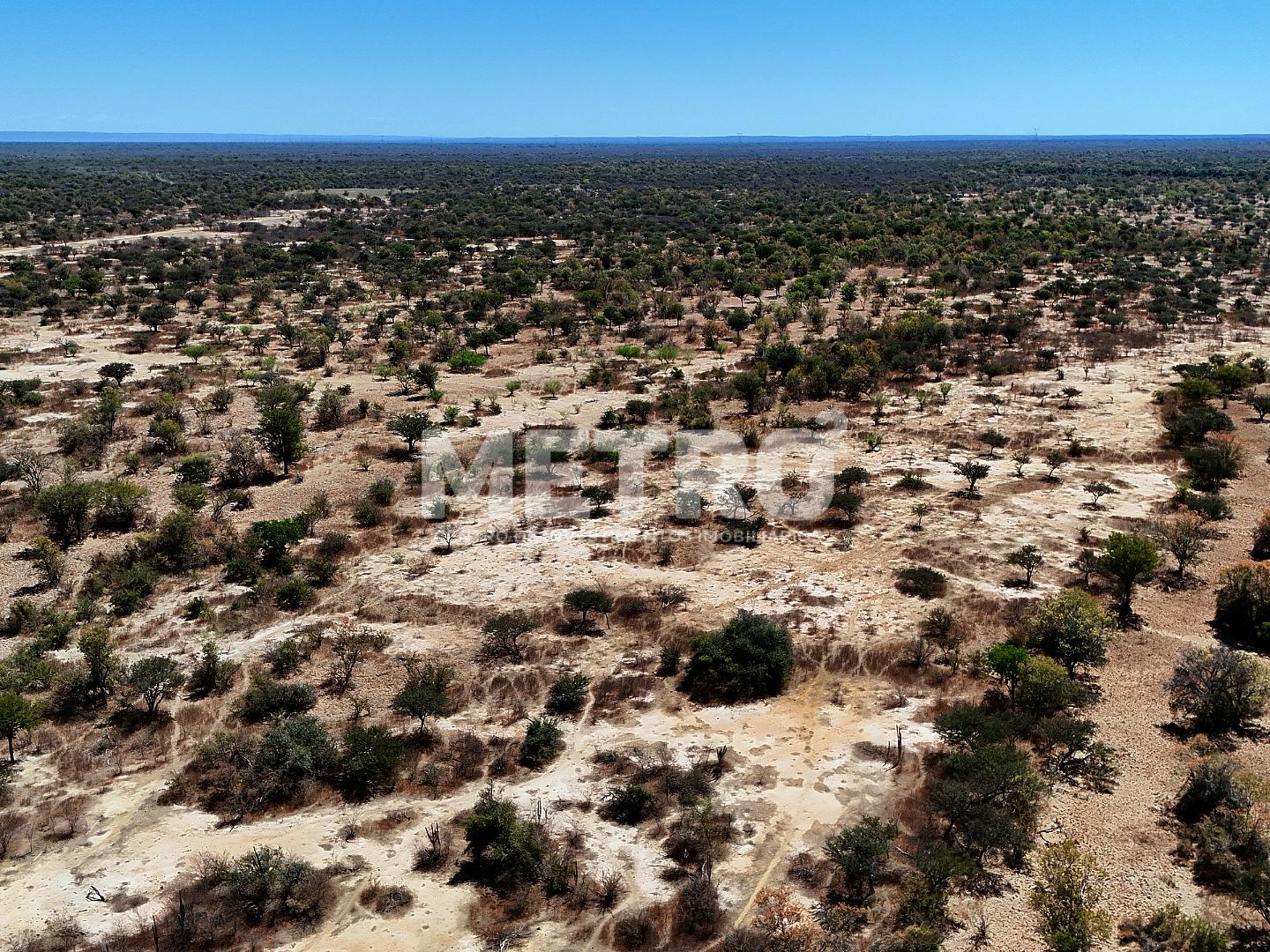 Fazenda - Foto 32