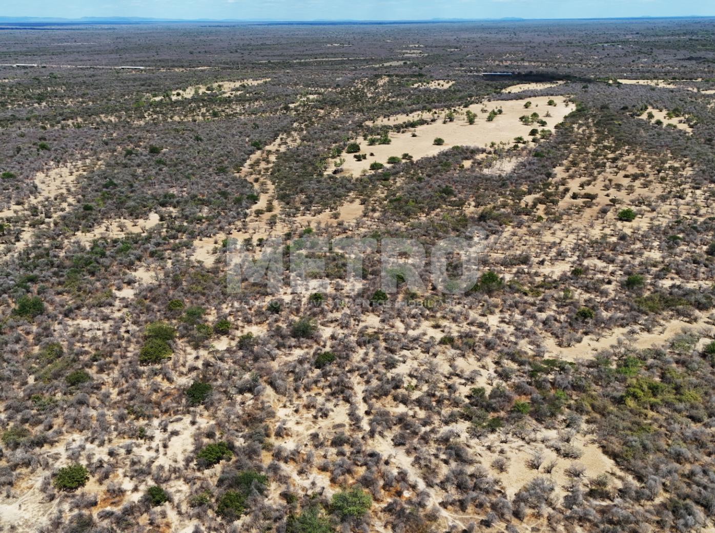 Fazenda - Foto 39