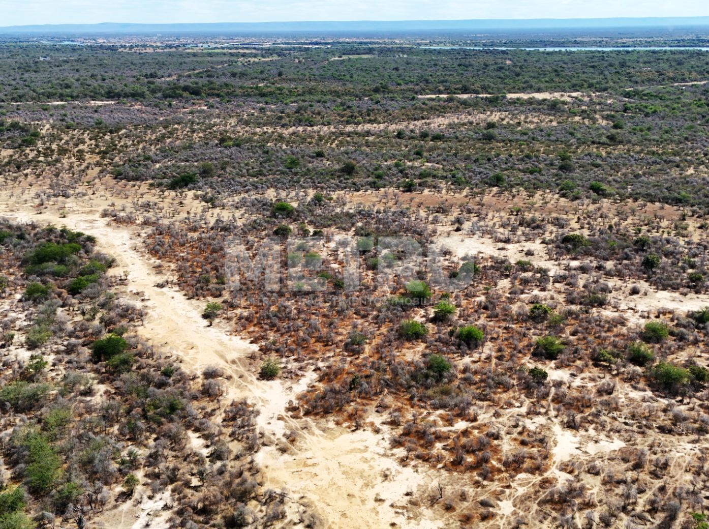 Fazenda - Foto 41