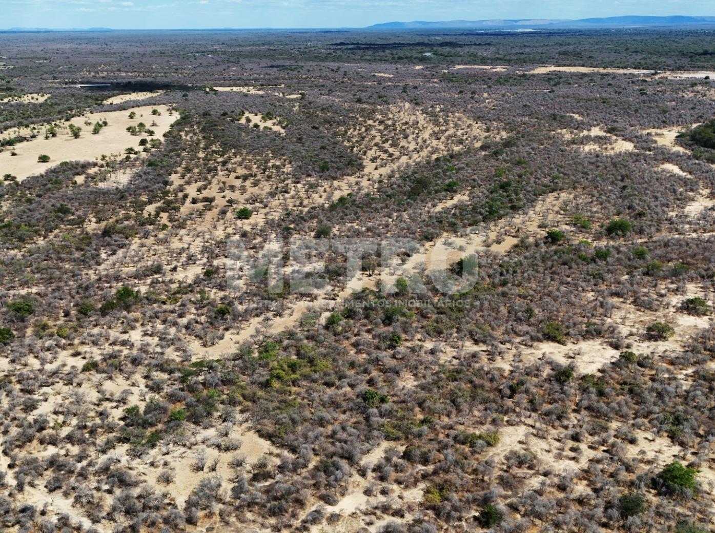 Fazenda - Foto 42