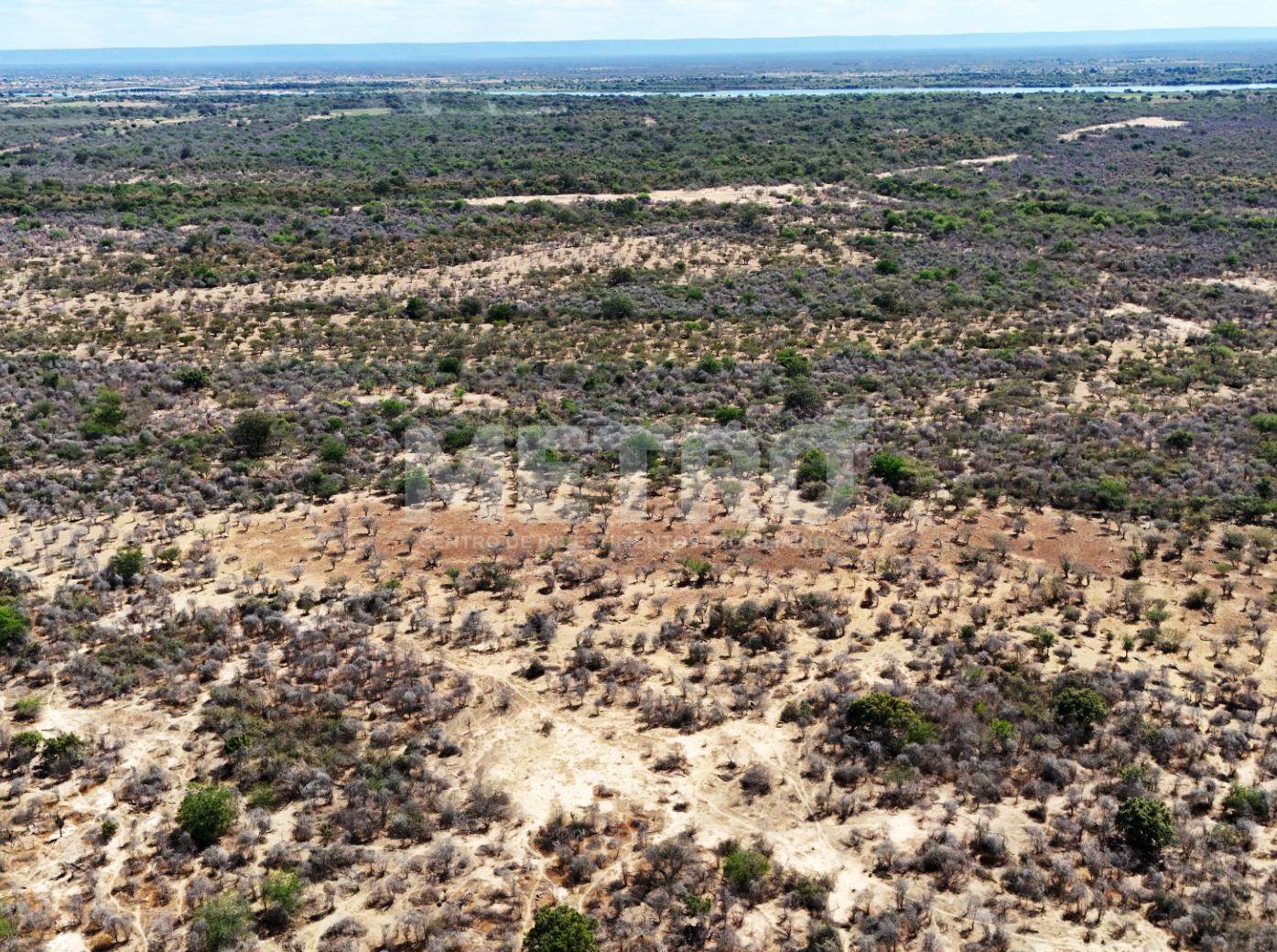 Fazenda - Foto 43