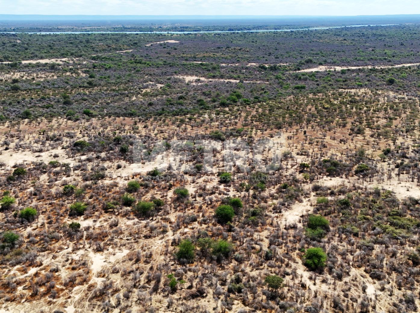 Fazenda - Foto 44