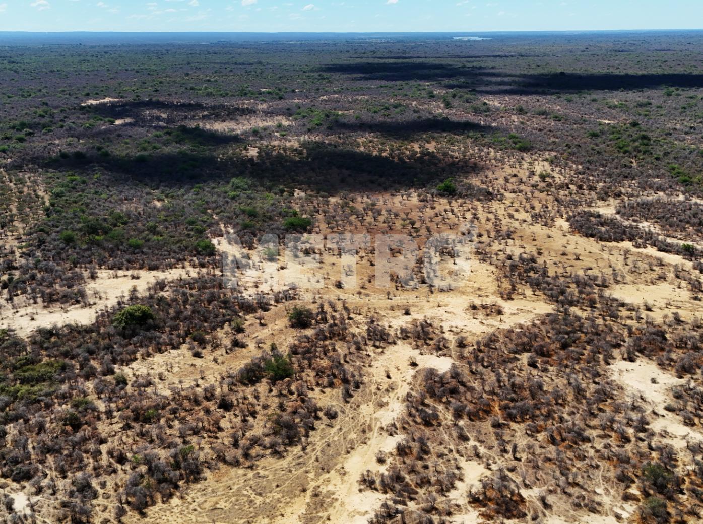 Fazenda - Foto 45
