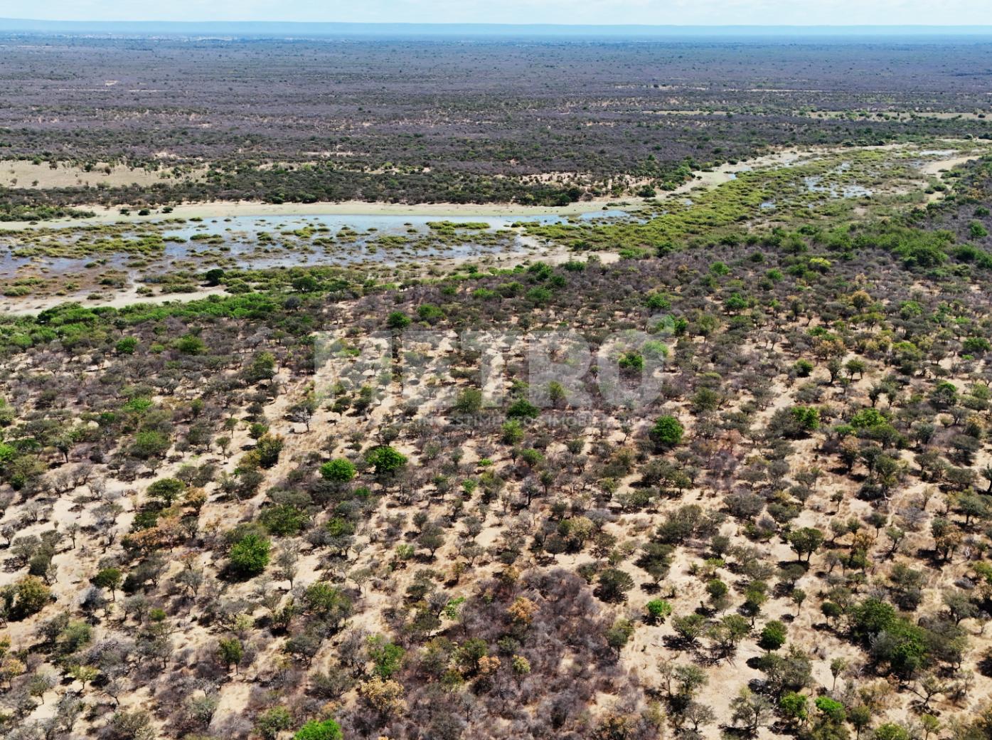Fazenda - Foto 50