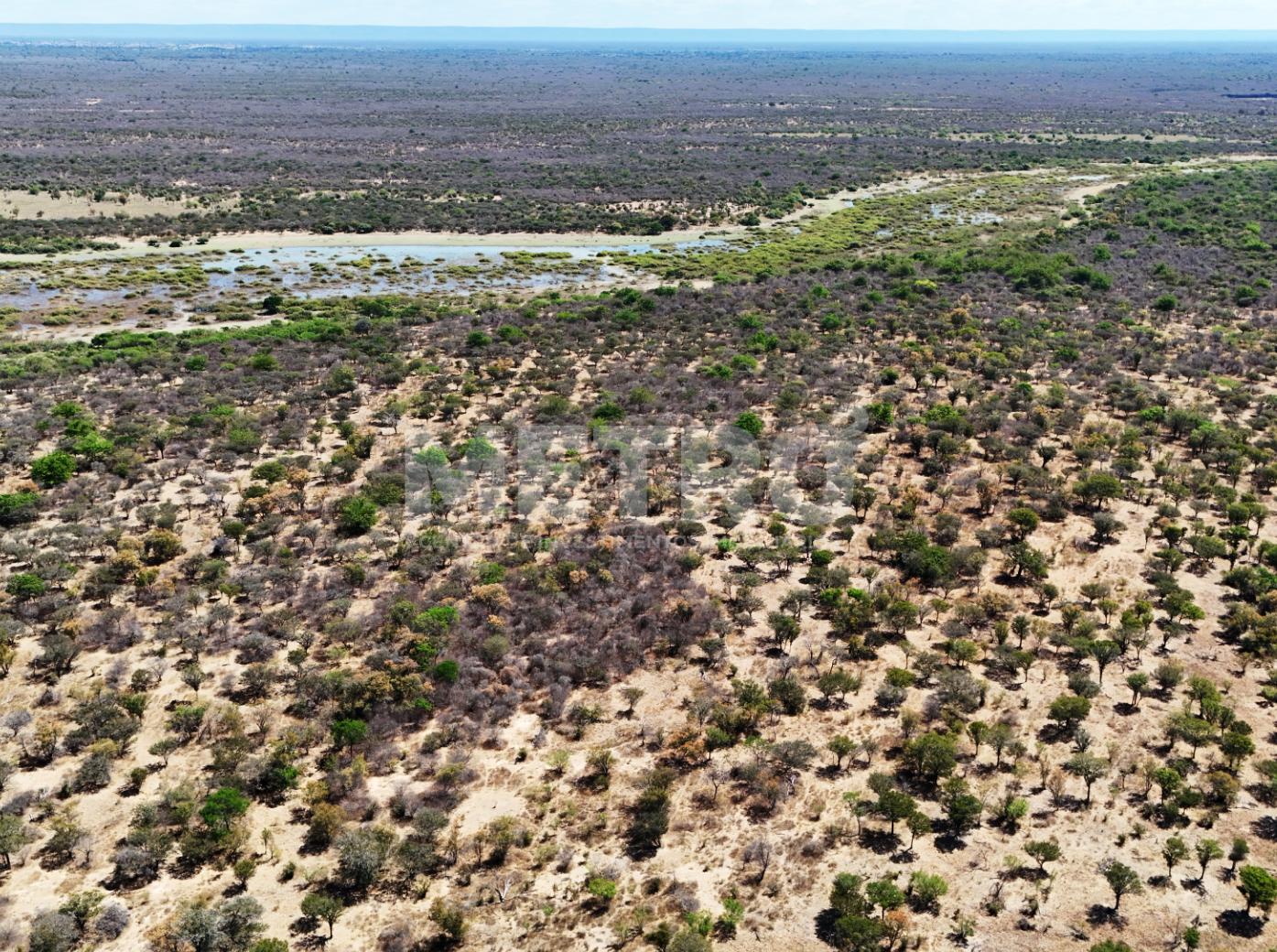 Fazenda - Foto 54