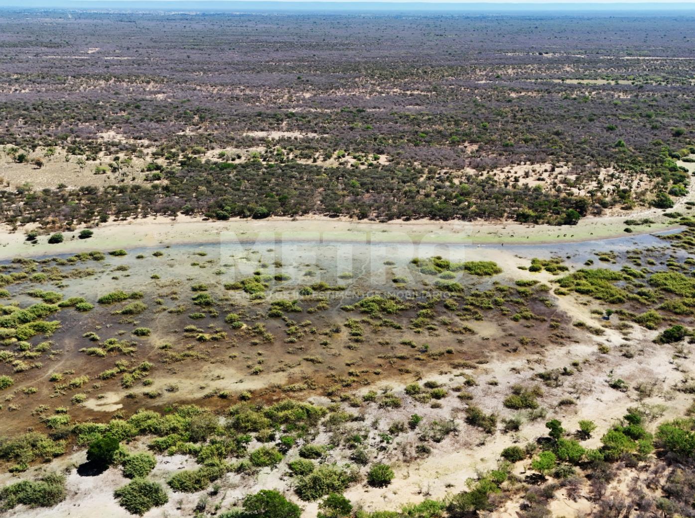 Fazenda - Foto 56