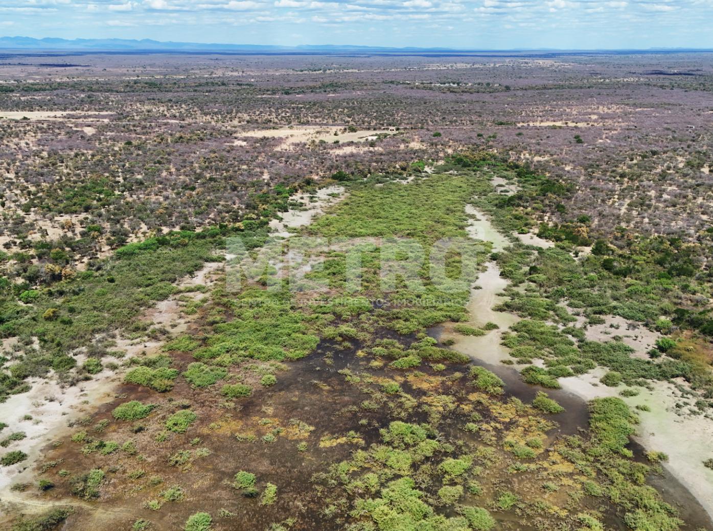Fazenda - Foto 59