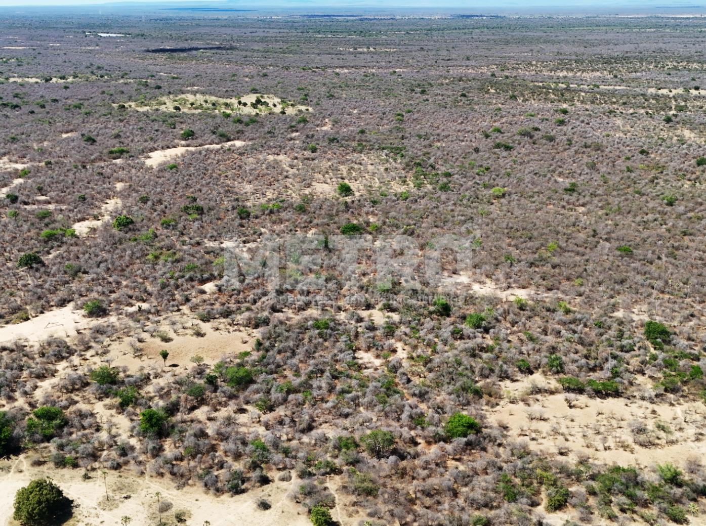 Fazenda - Foto 65