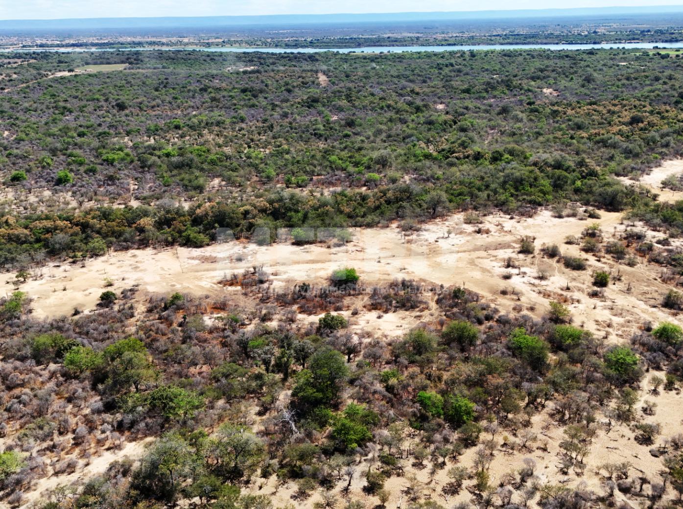 Fazenda - Foto 67